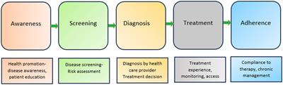 Voices of care: unveiling patient journeys in primary care for hypertension and diabetes management in Kerala, India